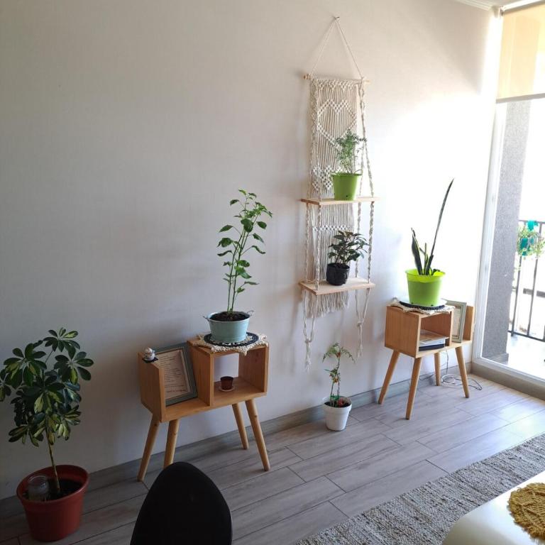 Departamento en Stgo sur amueblado - Apartamento de 3 dormitorios - 15