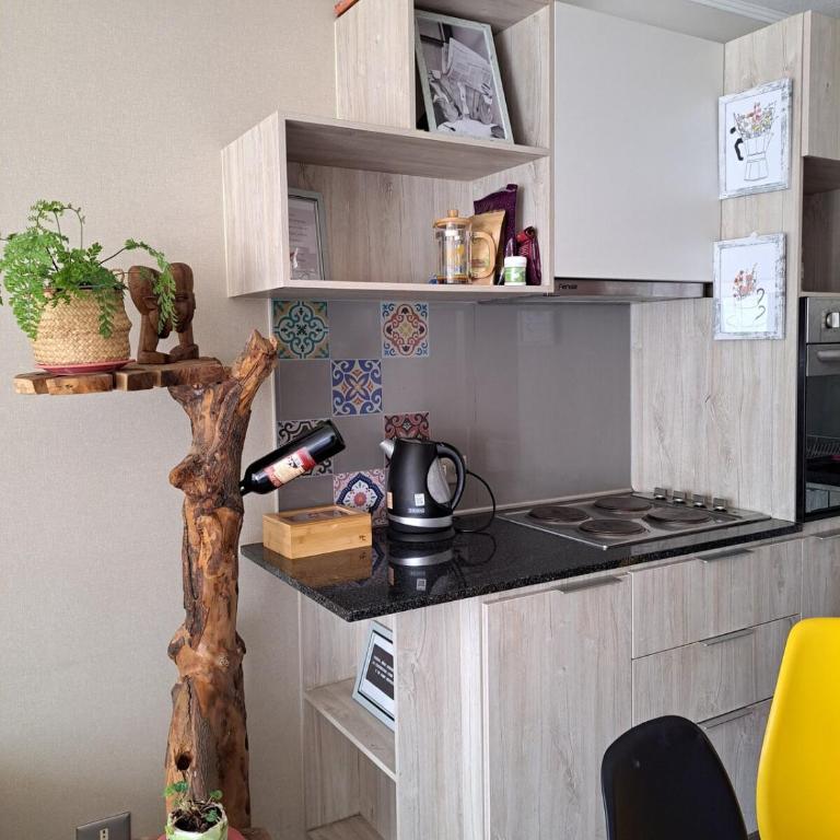Departamento en Stgo sur amueblado - Apartamento de 3 dormitorios - 21