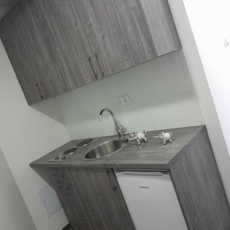 Apartmani Milan 2 - Apartman sa 1 Spavaćom Sobom - 5