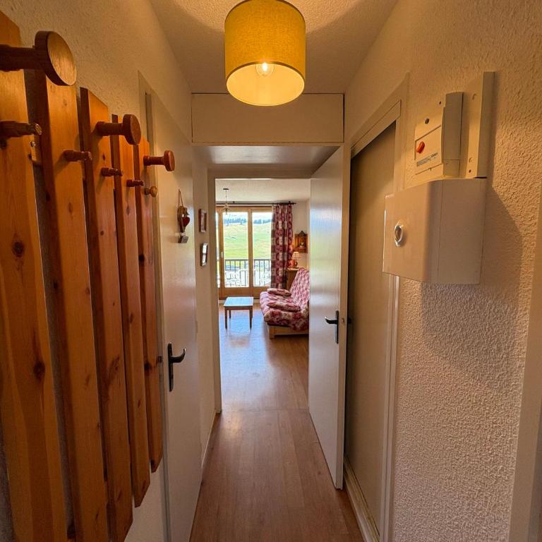 Bel appartement 2 pièces aux Saisies, animaux admis - FR-1-293-127 - Apartment (5 Adults) - 16