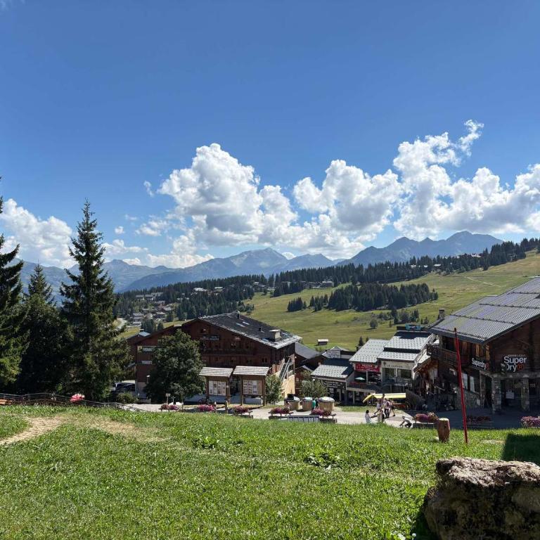 Les Saisies - Beau T2 pour 5 pers avec balcon sud - FR-1-293-120 - Apartment (5 Adults) - 16