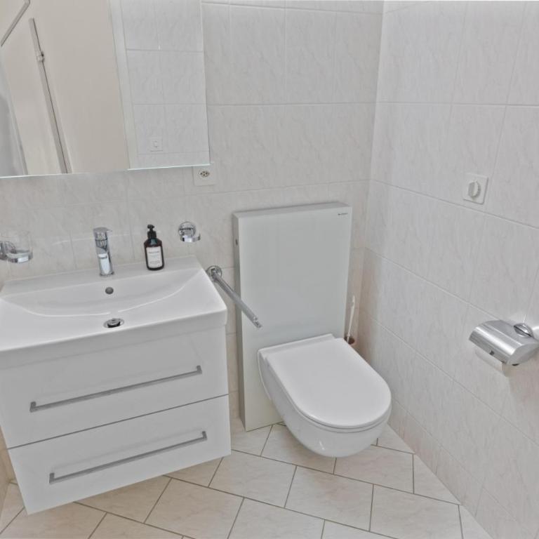 Appartement rénové, grand balcon, 10min des pistes - Appartement 1 Chambre - 17
