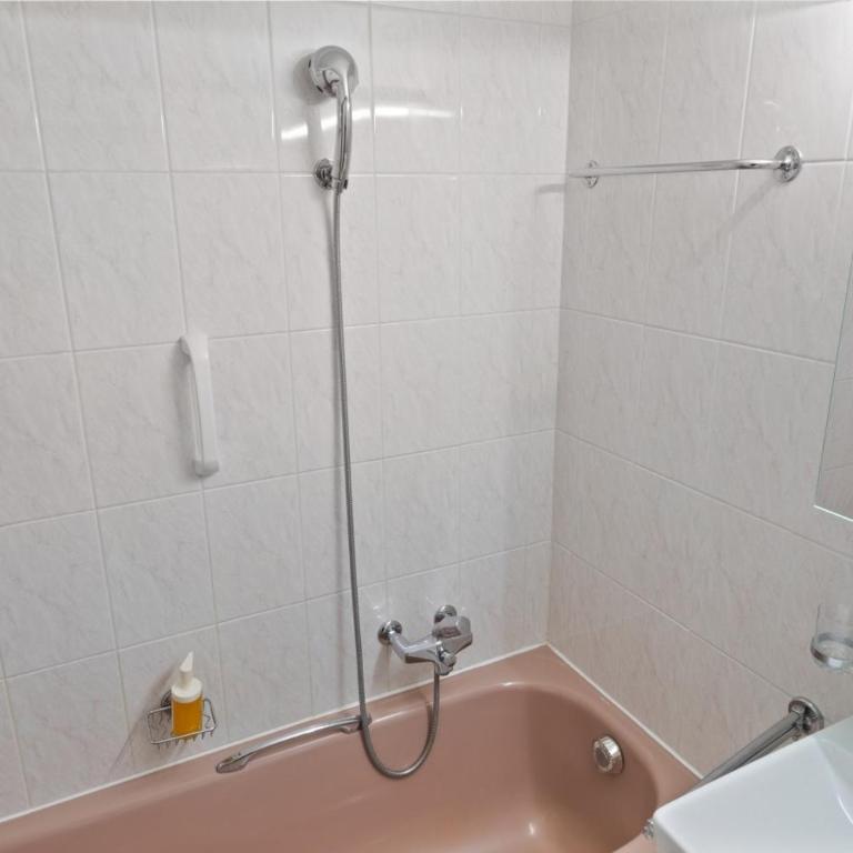 Appartement rénové, grand balcon, 10min des pistes - Appartement 1 Chambre - 23