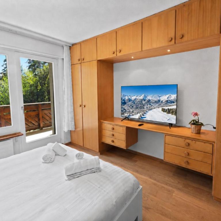 Appartement rénové, grand balcon, 10min des pistes - Appartement 1 Chambre - 24
