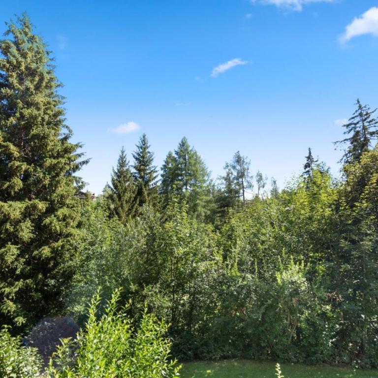 Appartement rénové, grand balcon, 10min des pistes - Appartement 1 Chambre - 5