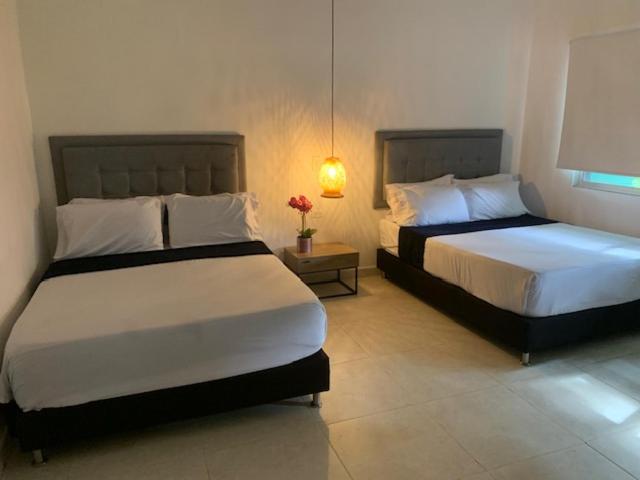 Apartahotel Provenza II - Apartment - 3