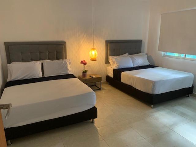 Apartahotel Provenza II - Apartment - 4