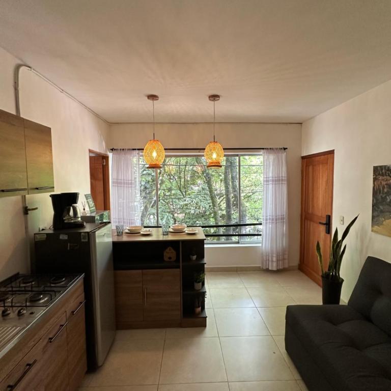 Apartahotel Provenza II - Apartment - 7