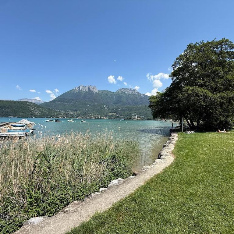 Le Grand Chalet du Lac, 15p, proche lac, Jacuzzi - Villa - 52