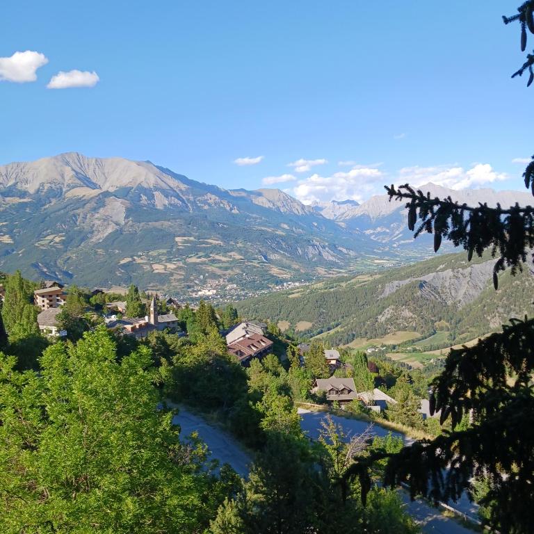 T4 - 3 chambres- ALPES DU SUD ETE ou HIVER PRA-LOUP - Appartement 3 Chambres - 19