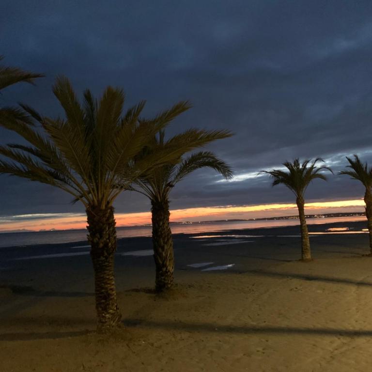 Mi Casita Del Sol - Near Beach, Port and Center - Minimum 11 days- My Sunny Little Home - Casa con 1 dormitorio - 9