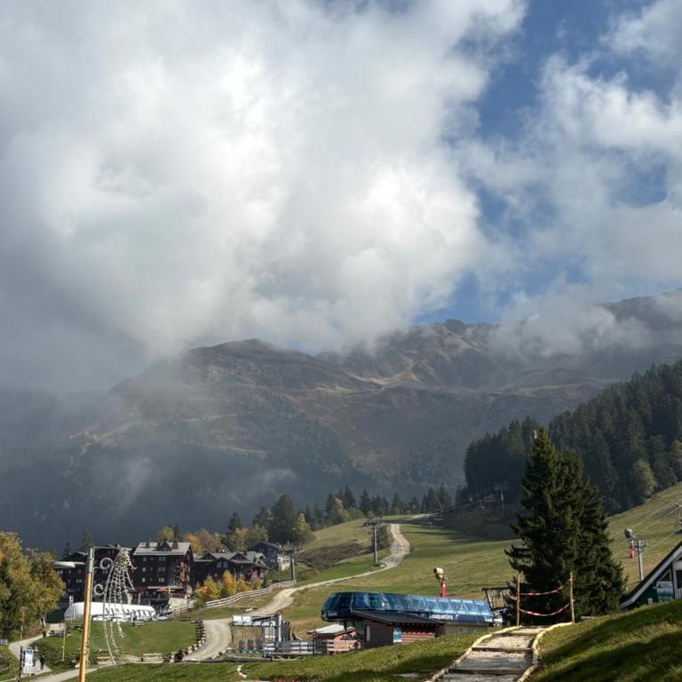 Studio Montagne face aux pistes - Apartamento de 1 dormitorio - 1