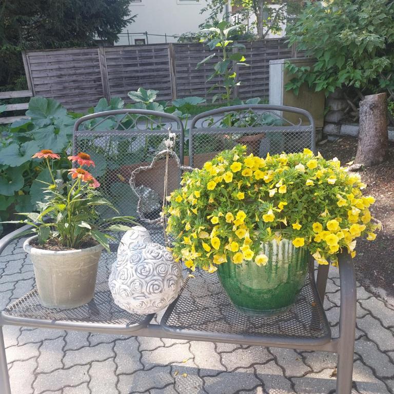 Appartement Hödlmoser - Apartment mit 1 Schlafzimmer und Balkon - 16