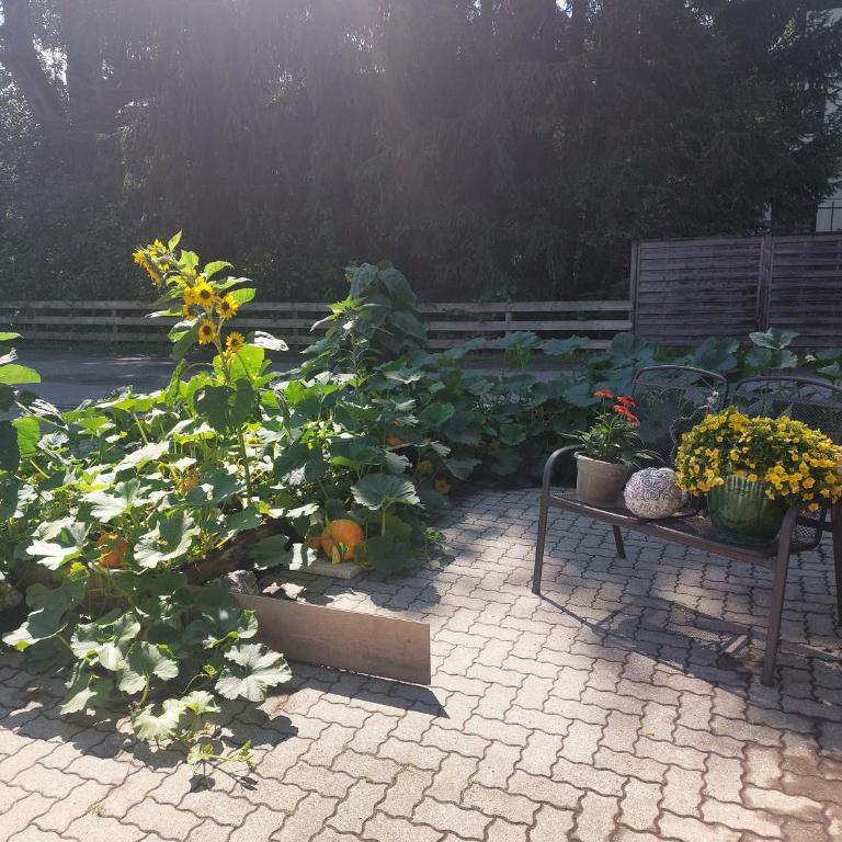 Appartement Hödlmoser - Apartment mit 1 Schlafzimmer und Balkon - 17