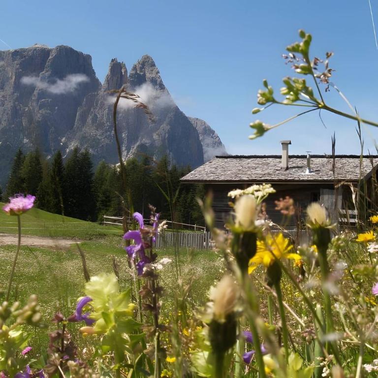 Binterhof - Appartamento Superior con 1 Camera da Letto e Balcone - 31