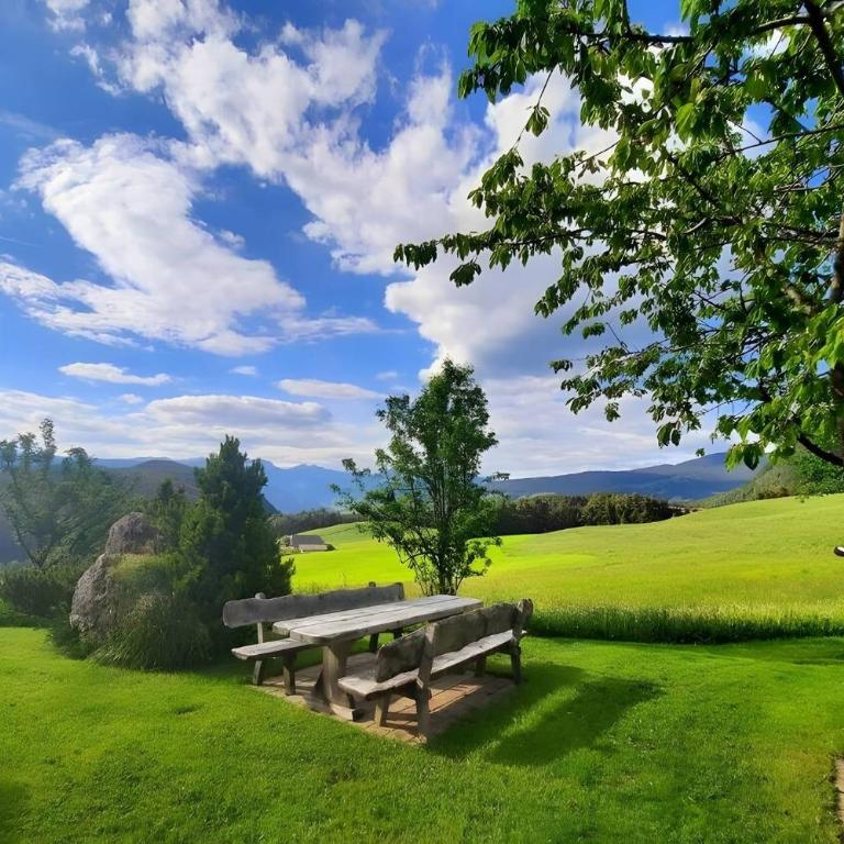 Binterhof - Appartamento Superior con 1 Camera da Letto e Balcone - 2