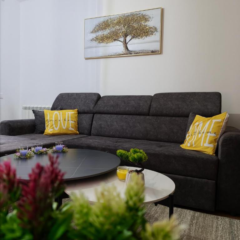 Star apartment - Apartman sa 1 Spavaćom Sobom - 3