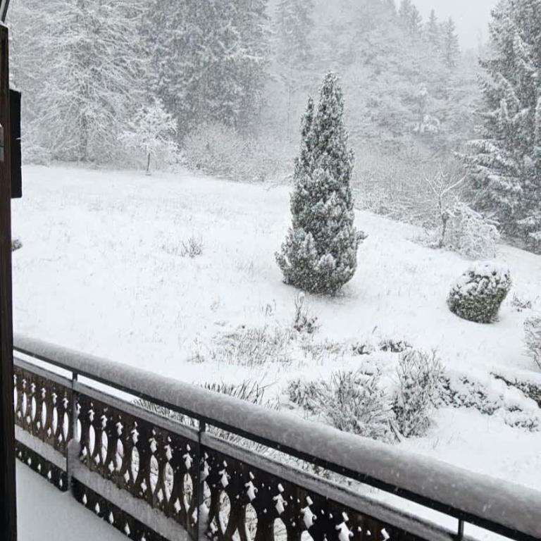 Beautiful Spacious chalet - Ideal for Families and Groups - Chalet Superior - 40
