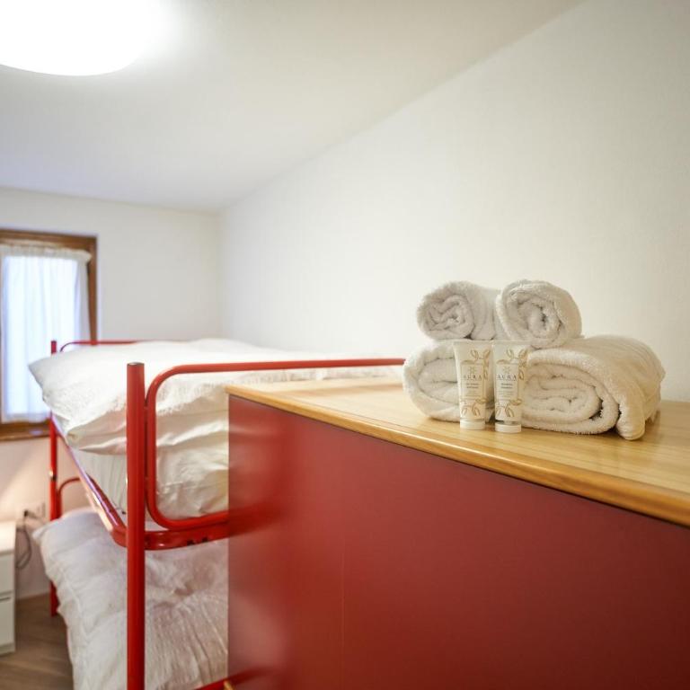Dolomis Apartments - Appartamento Deluxe con 2 Camere da Letto e Vista Giardino - 8