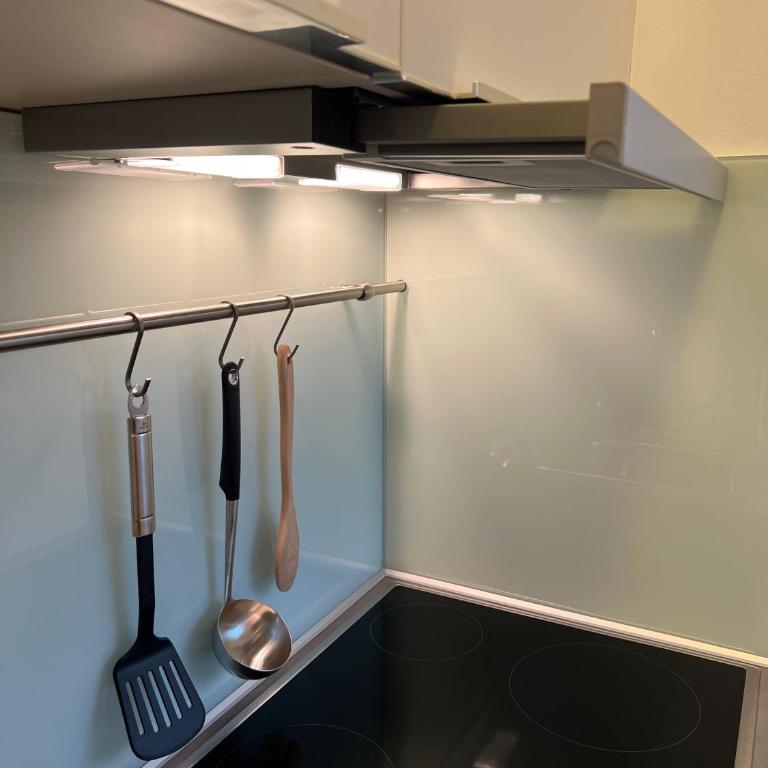Garconniere mit Wohlfühlcharakter - One-Bedroom Apartment - 32