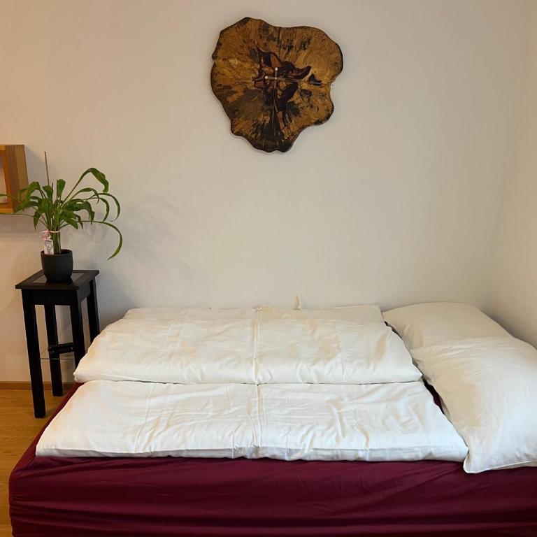Garconniere mit Wohlfühlcharakter - One-Bedroom Apartment - 6