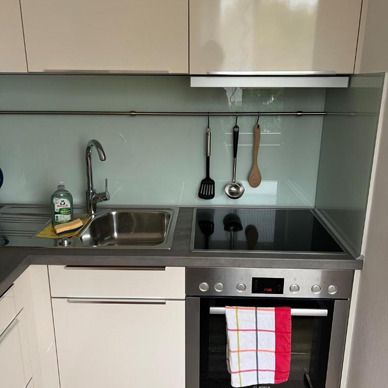 Garconniere mit Wohlfühlcharakter - One-Bedroom Apartment - 30
