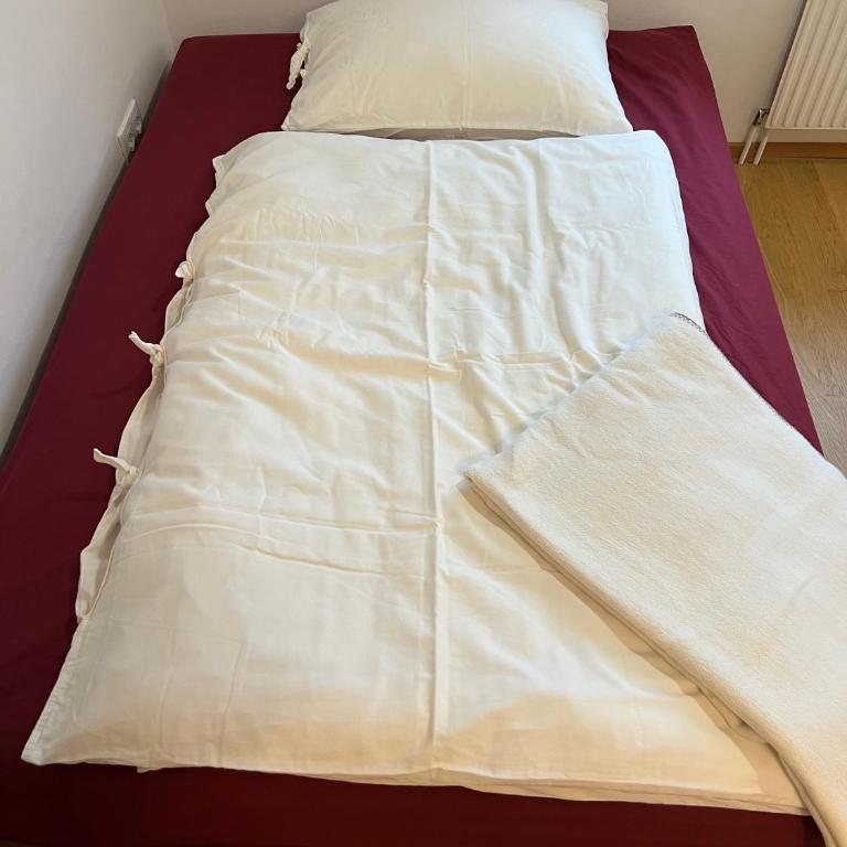 Garconniere mit Wohlfühlcharakter - One-Bedroom Apartment - 22