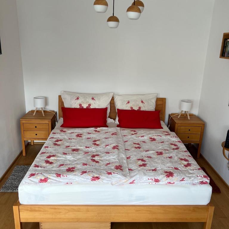 Garconniere mit Wohlfühlcharakter - One-Bedroom Apartment - 15