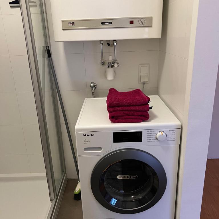 Garconniere mit Wohlfühlcharakter - One-Bedroom Apartment - 40