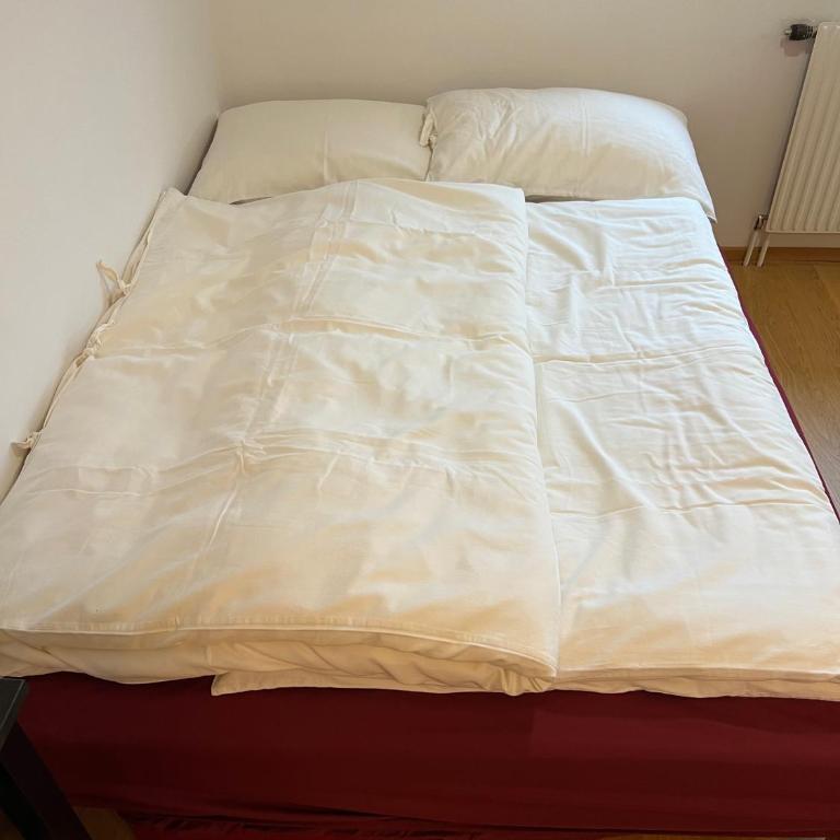 Garconniere mit Wohlfühlcharakter - One-Bedroom Apartment - 21