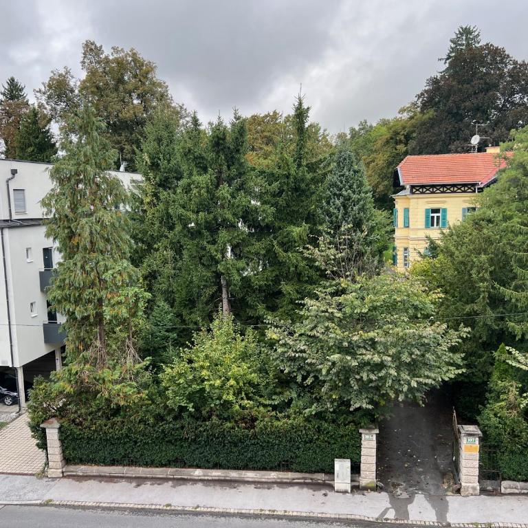 Garconniere mit Wohlfühlcharakter - One-Bedroom Apartment - 10