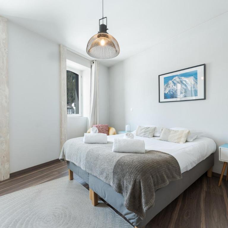 Montcler Moderne et Spacieux trois CH Apart Hypercentre avec vue - Apartment - 4