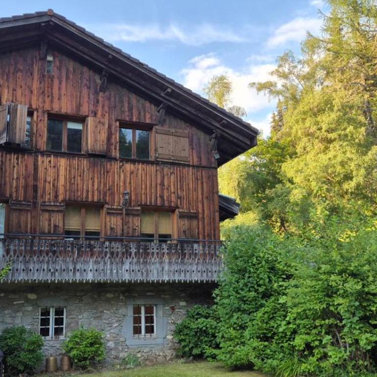 Beautiful Spacious chalet - Ideal for Families and Groups - Chalet Superior - 1