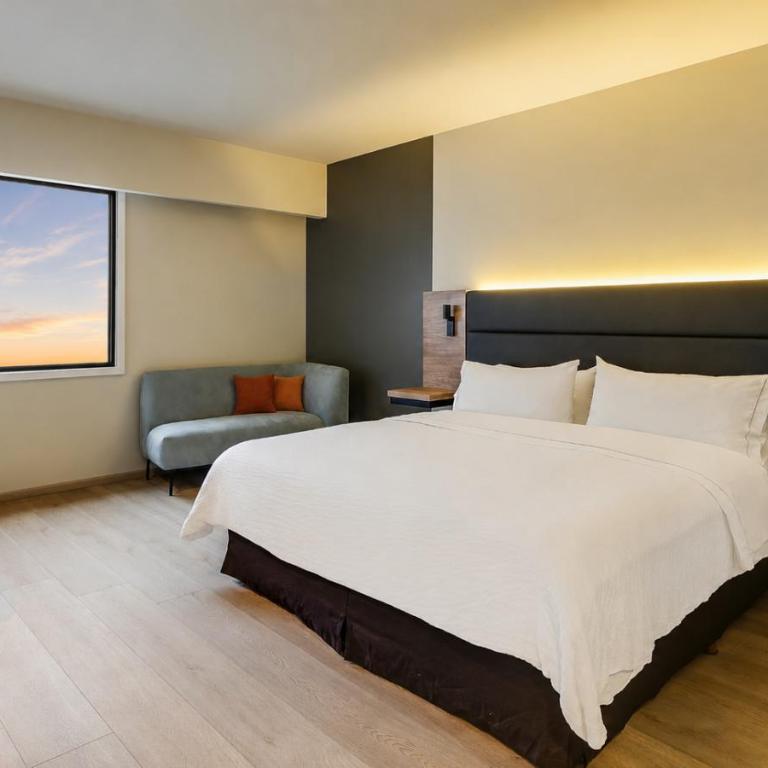 Fiesta Inn Monterrey Tecnologico - Habitación Executive con cama extragrande - 1
