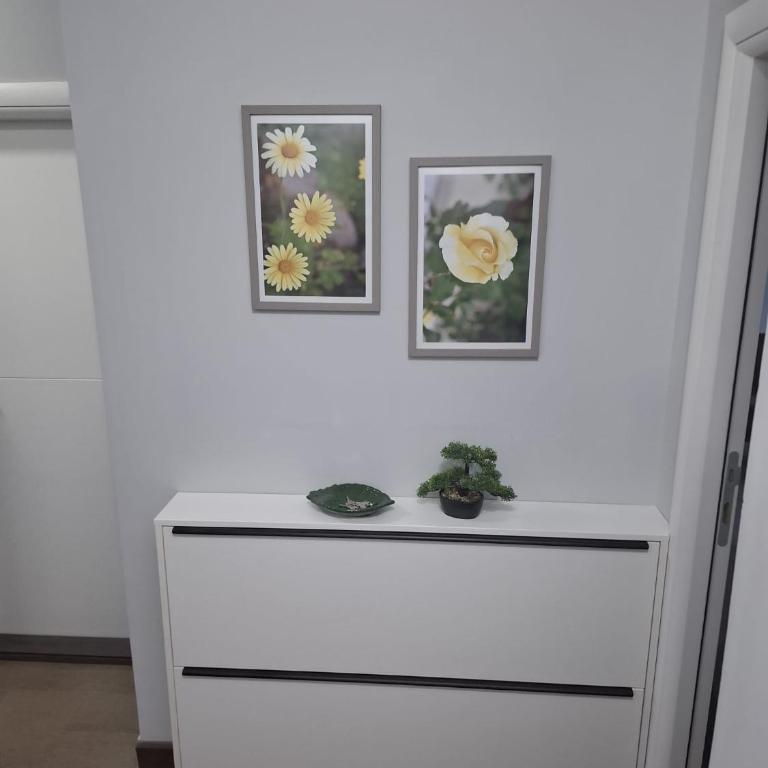 Apartmani Milicevic Zlatibor - Appartement 2 Chambres - Vue sur Jardin - 12
