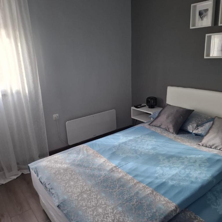 Apartmani Milicevic Zlatibor - Appartement 2 Chambres - Vue sur Jardin - 9
