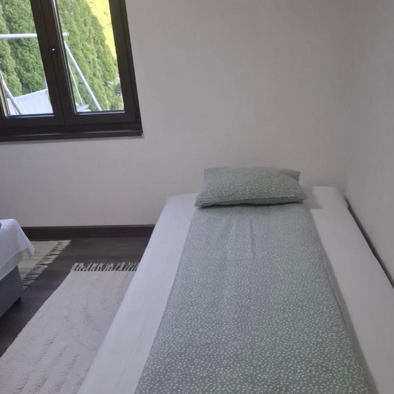 Apartmani Milicevic Zlatibor - Appartement 2 Chambres - Vue sur Jardin - 6
