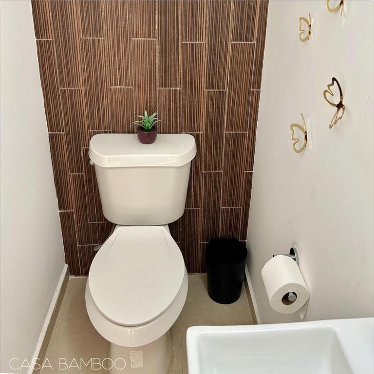Casa Bamboo - Deluxe King Suite - 6