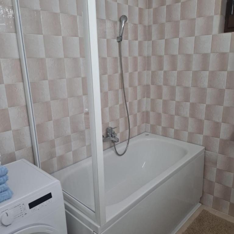 Apartmani Milicevic Zlatibor - Appartement 2 Chambres - Vue sur Jardin - 3