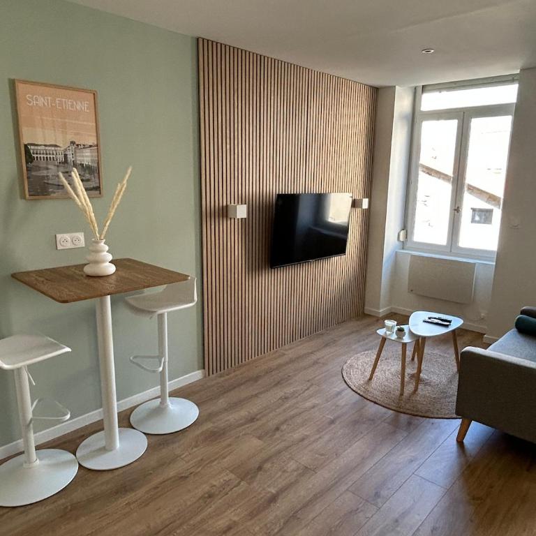 Studio cosy Saint Etienne gare - Appartement 1 Chambre - 1