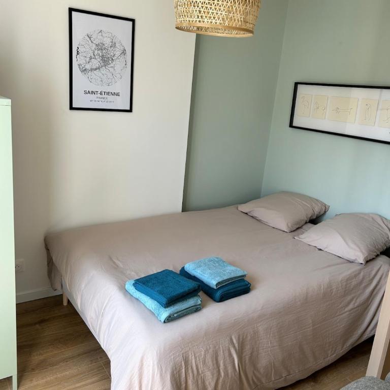 Studio cosy Saint Etienne gare - Appartement 1 Chambre - 2