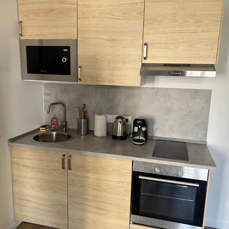 Studio cosy Saint Etienne gare - Appartement 1 Chambre - 6