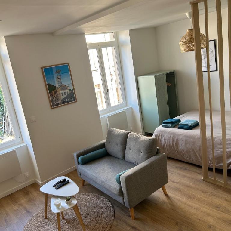 Studio cosy Saint Etienne gare - Appartement 1 Chambre - 8