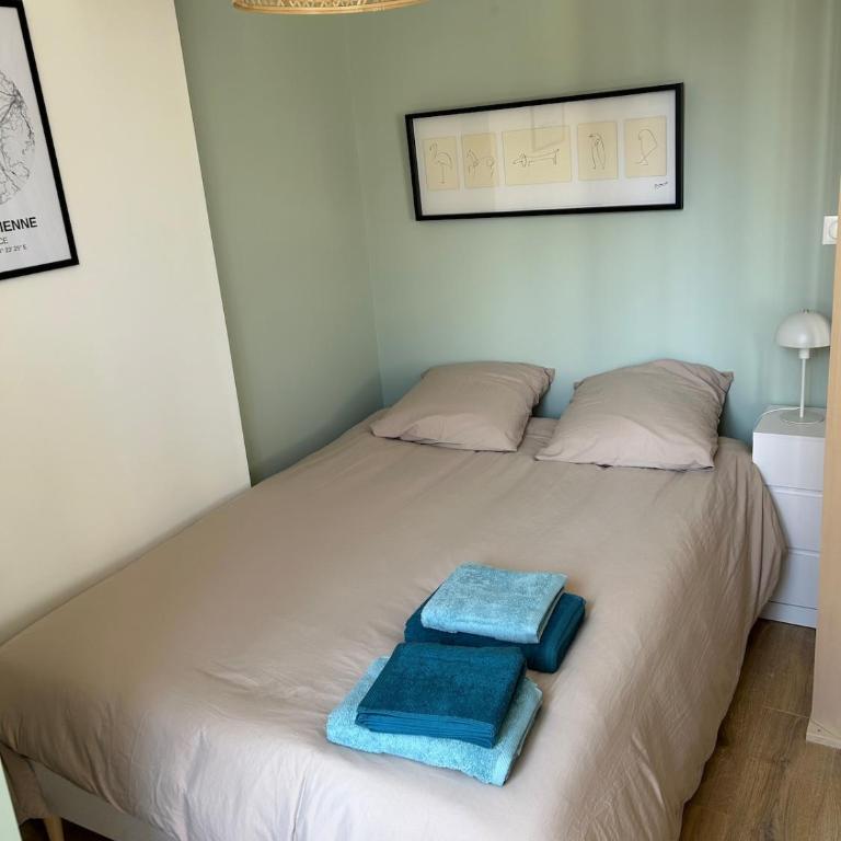 Studio cosy Saint Etienne gare - Appartement 1 Chambre - 14