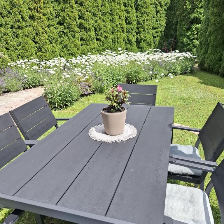 Apartmani Milicevic Zlatibor - Appartement 1 Chambre - 15