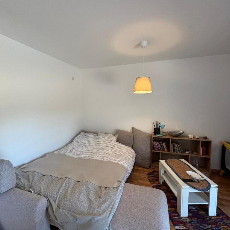 LIJA apartman Divcibare Mali Golubac - Apartman sa 1 Spavaćom Sobom - 11