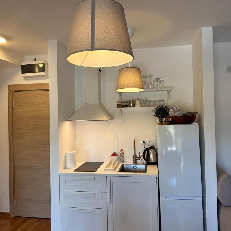 LIJA apartman Divcibare Mali Golubac - Apartman sa 1 Spavaćom Sobom - 20