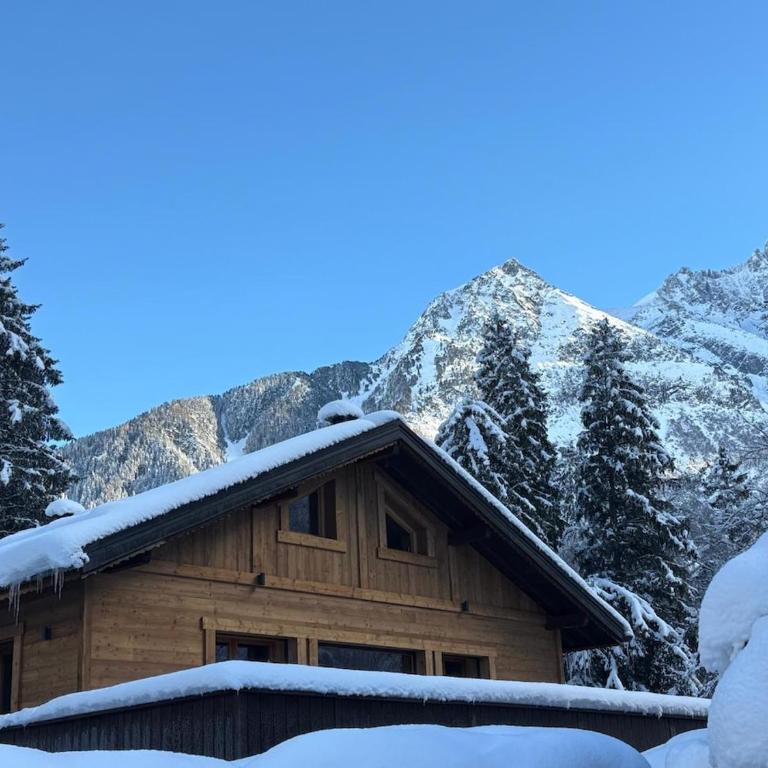 Chalet ISATIS - Chalet - 7
