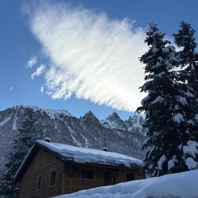 Chalet ISATIS - Chalet - 5