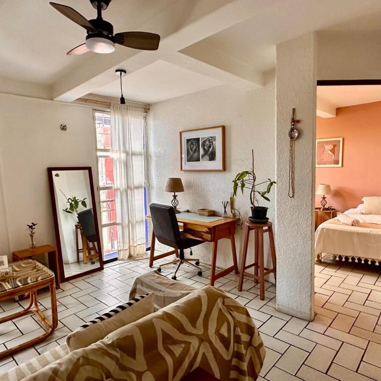 Sunny Home in Oaxaca City Center - Appartement 2 Chambres - 34